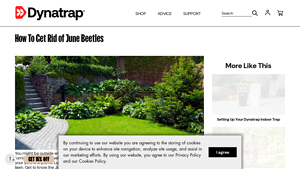 Dynatrap - Outdoor Insect Traps