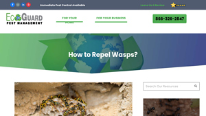 EcoGuard - Wasp Repellent Solutions