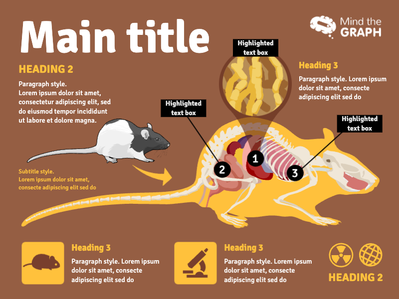 Illustrative image for electrocuting rats