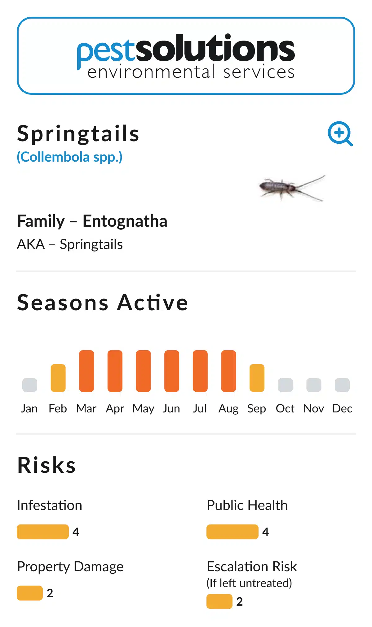 Illustrative image for eliminate springtails