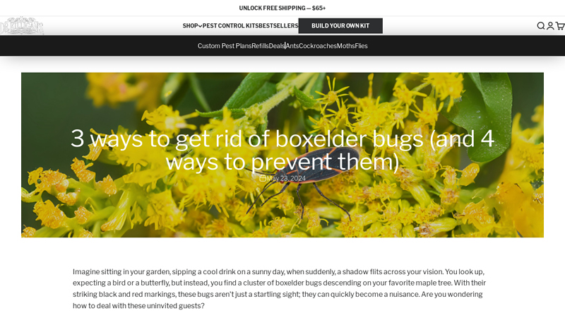 3 ways to get rid of boxelder bugs & 4 prevention tips - Dr. Killigan's