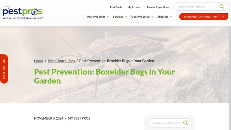 Pest Prevention: Boxelder Bugs in Your Garden