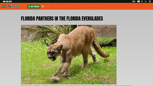 Everglades Holiday Park - Florida Panther Conservation