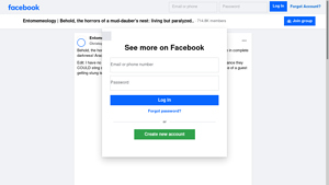Facebook - The Dark Fate of Mud-Daubers