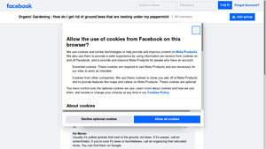 Facebook - Allergy Relief Solutions