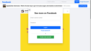 Facebook - Natural Ant Control Solution
