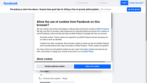 Facebook - Vinegar and Dawn Solution