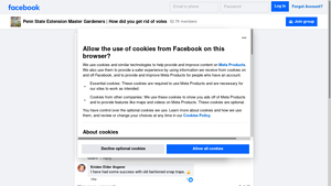 Facebook - Creative Cat Care Tips