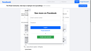 Facebook - Homemade Groundhog Repellent