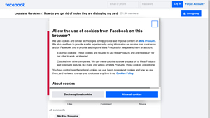 Facebook - Eco-Friendly Pest Control Solutions