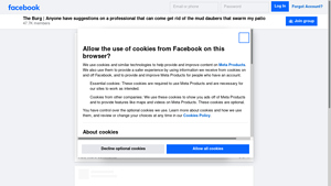 Facebook - Professional Pest Control for Mud Dauber Removal