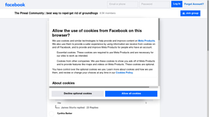 Facebook - Homemade Groundhog Repellent