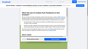 Facebook - Effective Pest Control Solution
