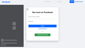 Facebook - Cleaning Spray Solution