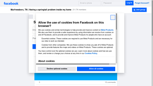 Facebook - Springtail Solutions