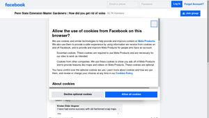 Facebook - DIY Plant Care Solution