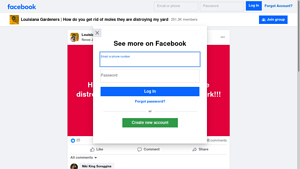 Facebook - Eco-Friendly Repellents
