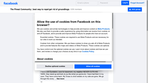 Facebook - Homemade Groundhog Repellent