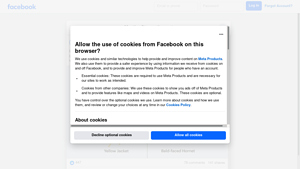Facebook - Wasp Control Guide
