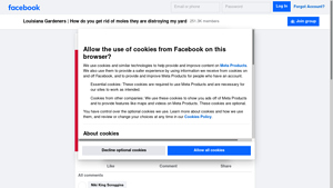 Facebook - Eco-Friendly Repellents