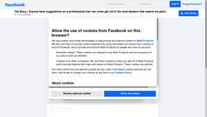 Facebook - Professional Pest Control for Mud Daubers