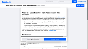 Facebook - Yellow Jacket & Hornet Solutions