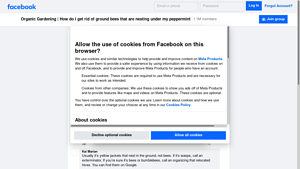 Facebook - Allergy Solutions