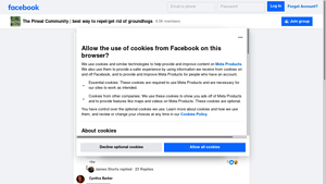Facebook - Homemade Groundhog Repellent