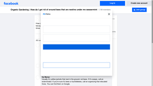 Facebook - Allergy Relief Solutions