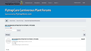 Flytrap Care - Venus Flytraps & Pitcher Plants