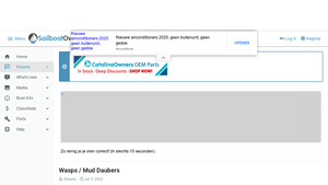 Natural Wasp Deterrents - Dryer Sheets, Moth Balls & Traps