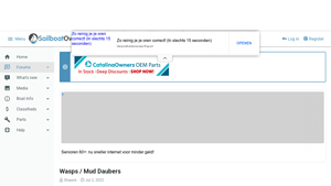 Sailboat Owners - Natural Wasp Deterrents