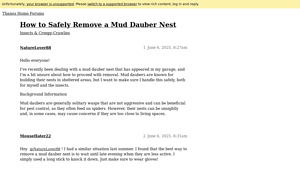 Thanos Home - Mud Dauber Nest Removal Guide