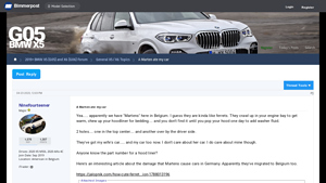 BMW - Hood Liner & Mardersicher Set