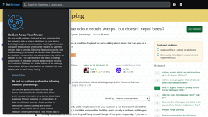 Gardening - Wasp Repellent Myths