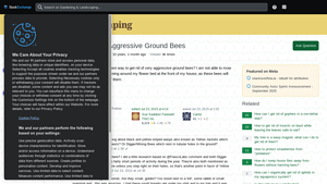 Effective Bee Control - Natural and Chemical Solutions