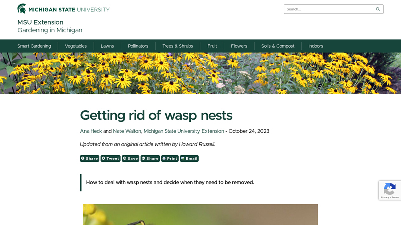 Getting rid of wasp nests - Gardening in Michigan
