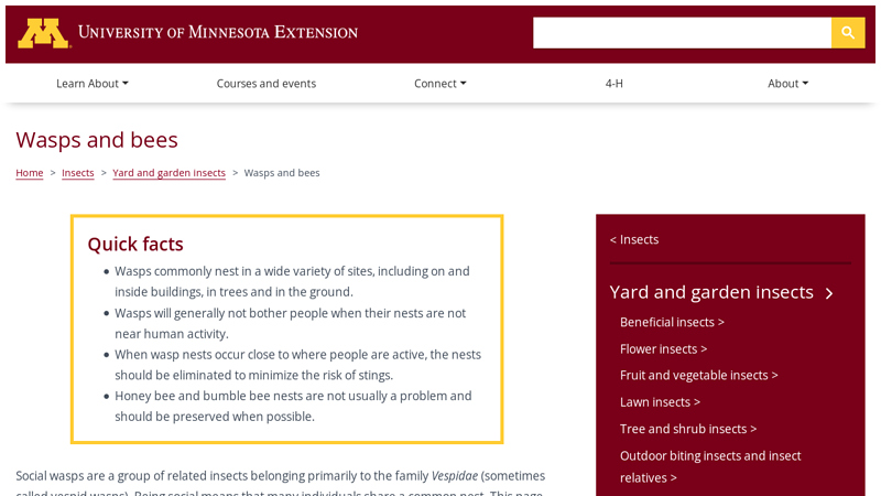 Wasps and bees | UMN Extension