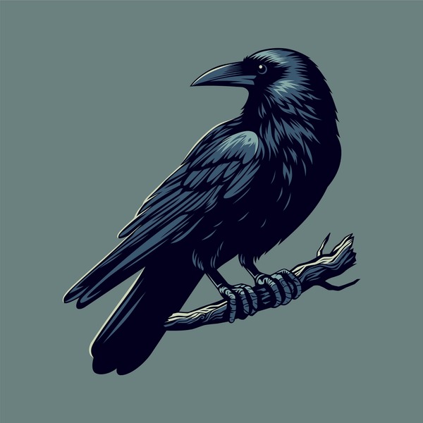 Illustrative image for get rid of black crows