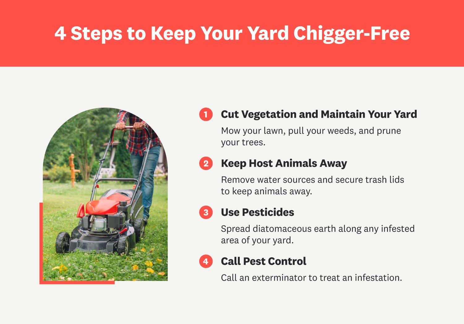 Illustrative image for get rid of chiggers in house