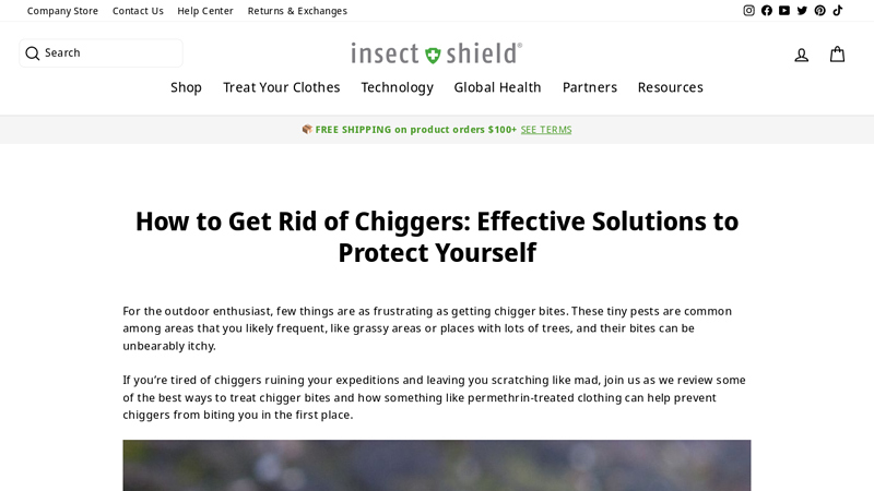 How to Get Rid of Chiggers: Effective Solutions to Protect Yourself