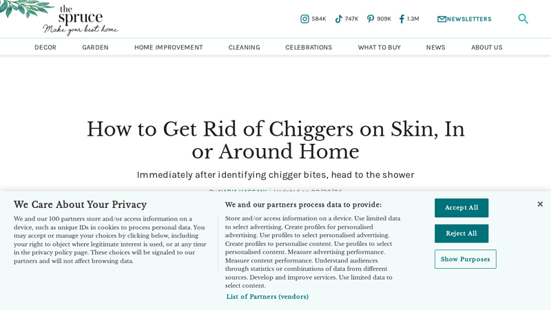 How to Get Rid of Chiggers on Skin, In or Around Home - The Spruce