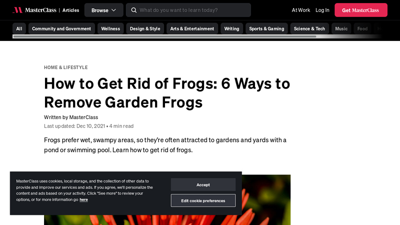 How to Get Rid of Frogs: 6 Ways to Remove Garden Frogs - 2025