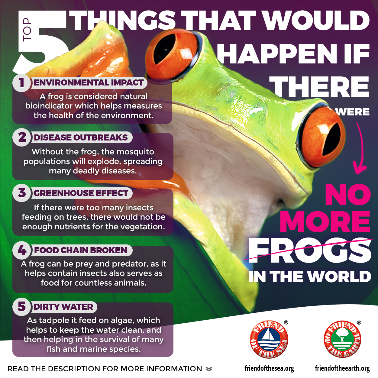 Illustrative image for get rid of frogs in backyard