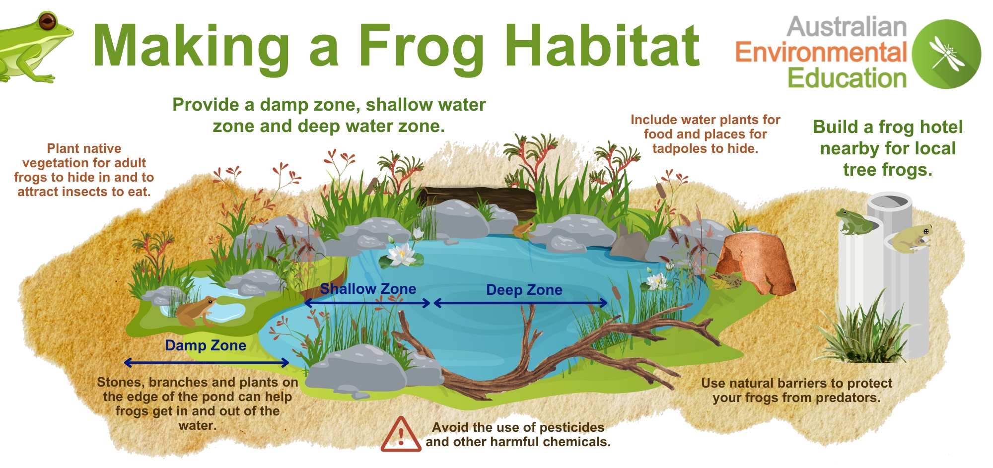 Illustrative image for get rid of frogs in backyard