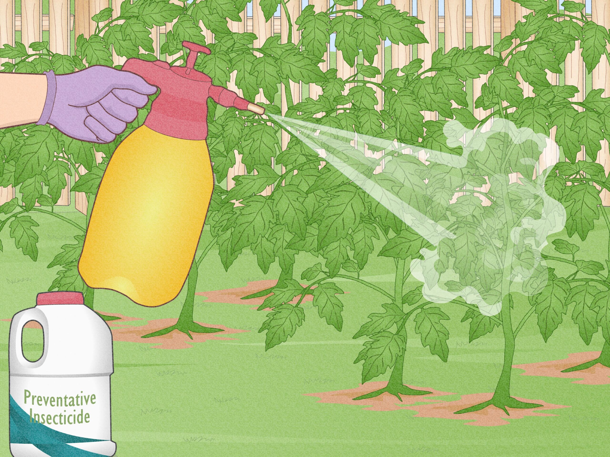 Illustrative image for get rid of june bug