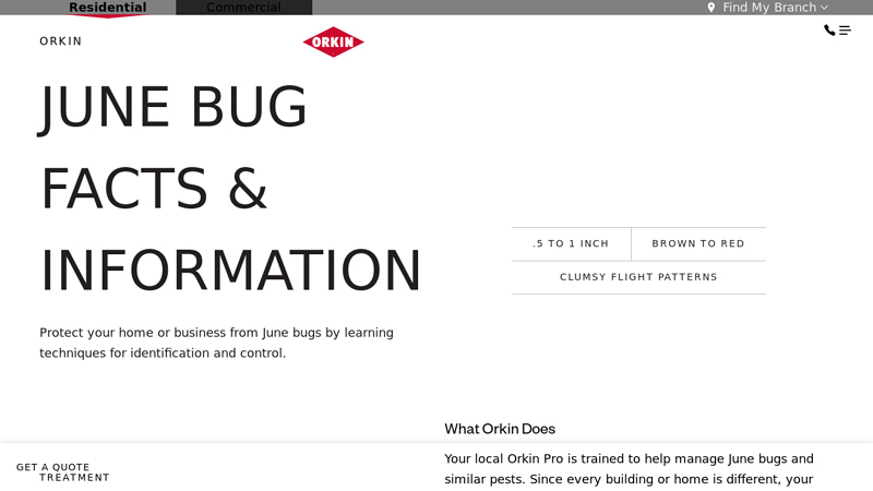 June Bug Facts | How to Get Rid of June Bugs - Orkin
