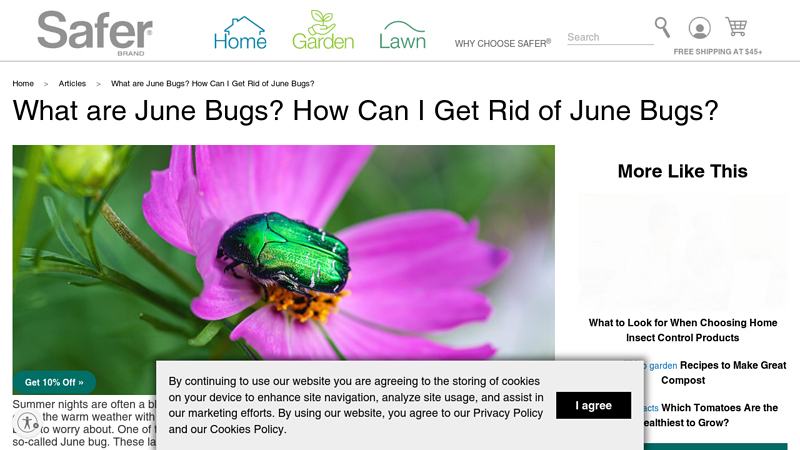 Different 'June Bugs' and How to Get Rid Of Them - Safer Brand