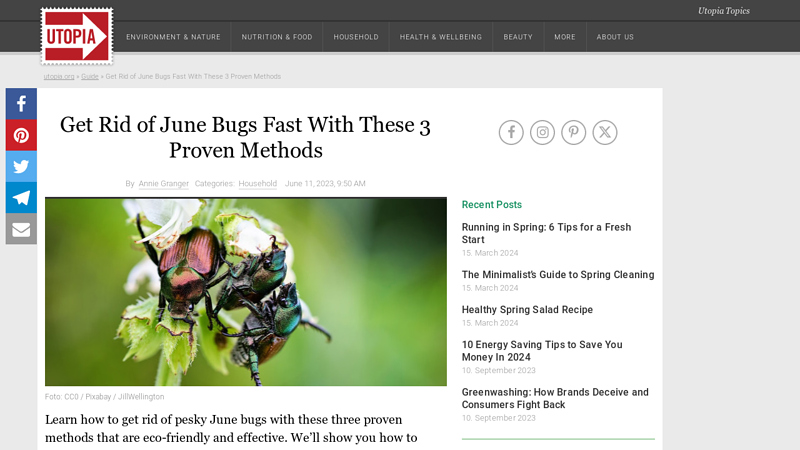Get Rid of June Bugs Fast With These 3 Proven Methods - Utopia.org