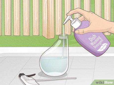 Illustrative image for get rid of june bugs at night